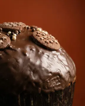 Panettone glassato al cioccolato